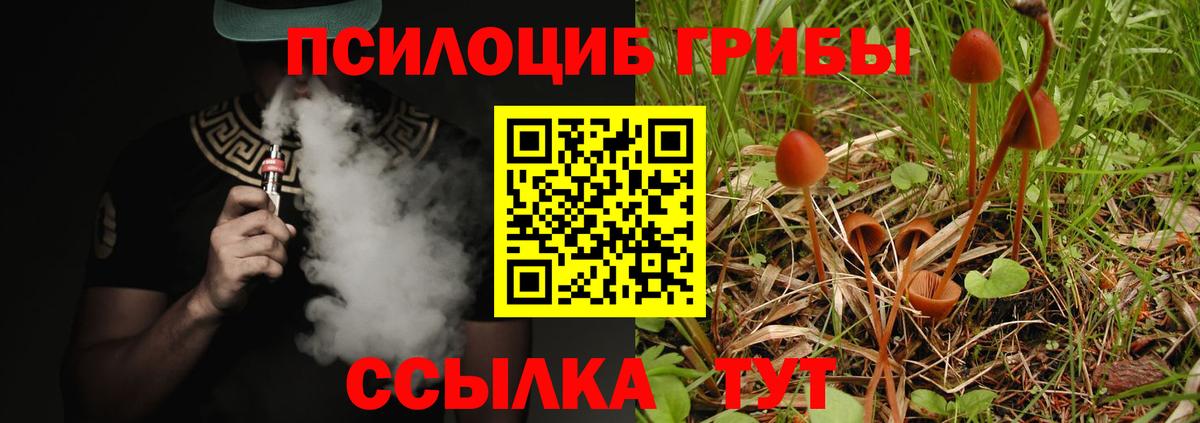 Псилоцибиновые грибы MAGIC MUSHROOMS Серов