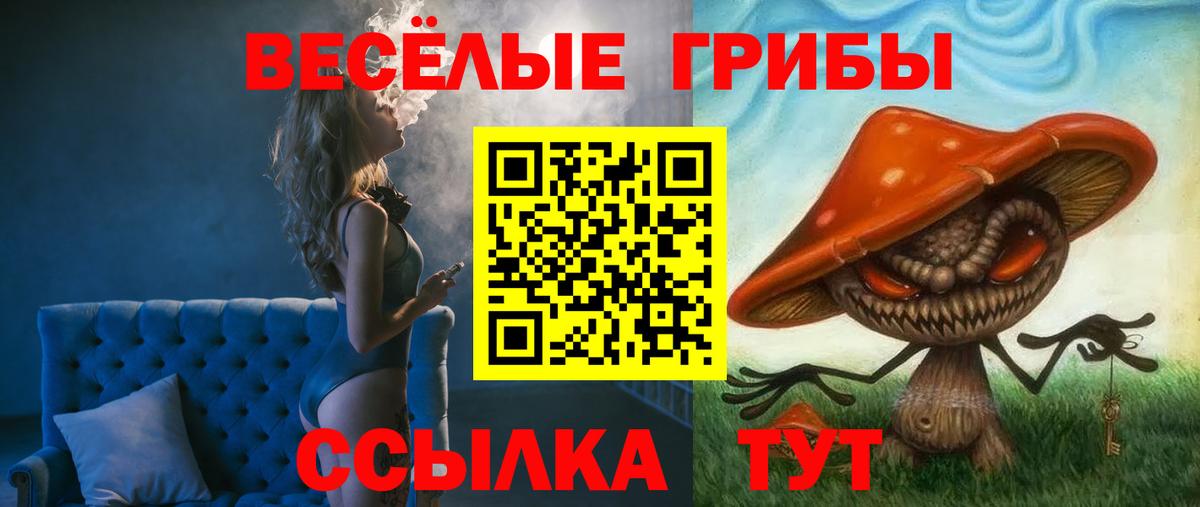 Серов  Галлюциногенные грибы мицелий  Вход с VPN 